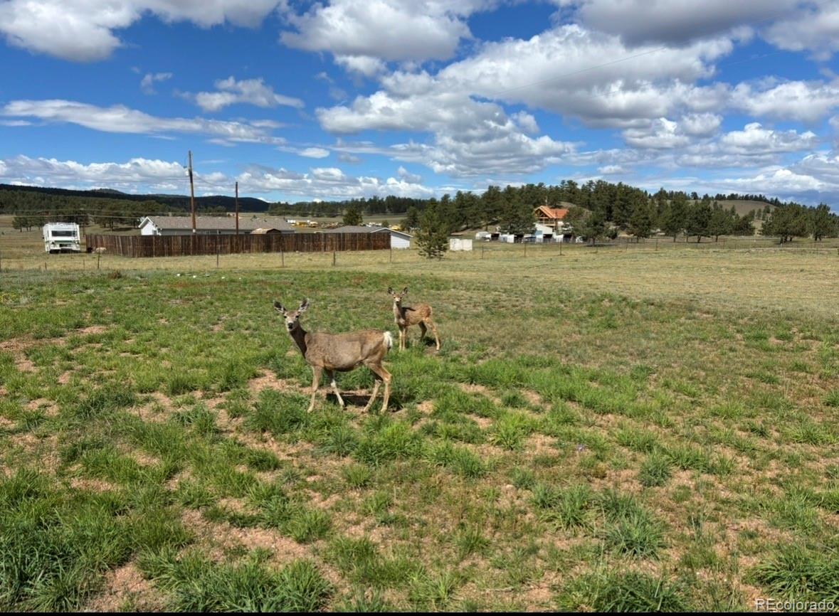 MLS Image #41 for 489  duesouth road,florissant, Colorado