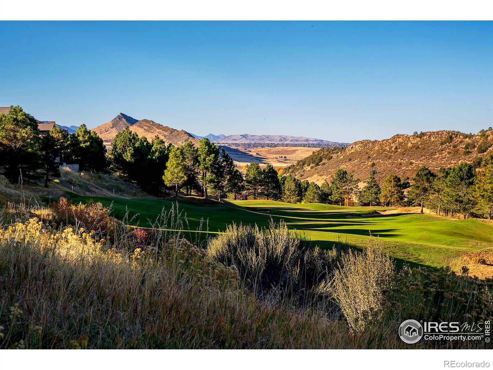 MLS Image #46 for 7572  raphael lane,littleton, Colorado