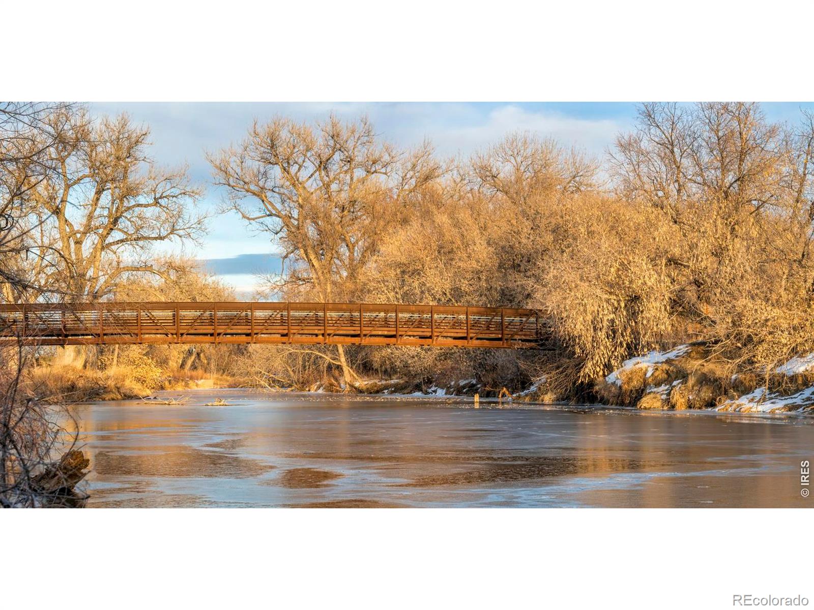 MLS Image #17 for 155  mathews street,fort collins, Colorado