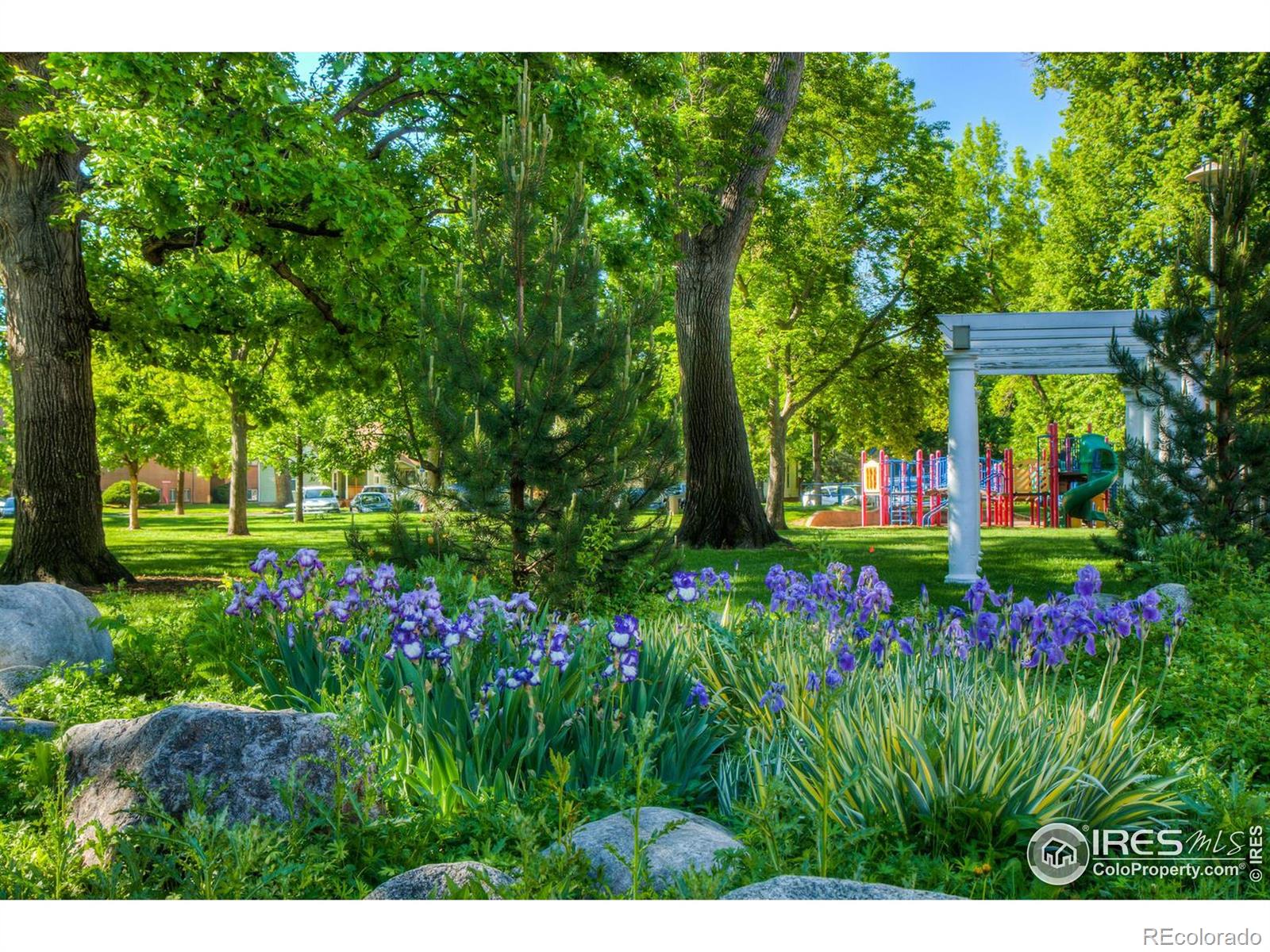 MLS Image #25 for 155  mathews street,fort collins, Colorado