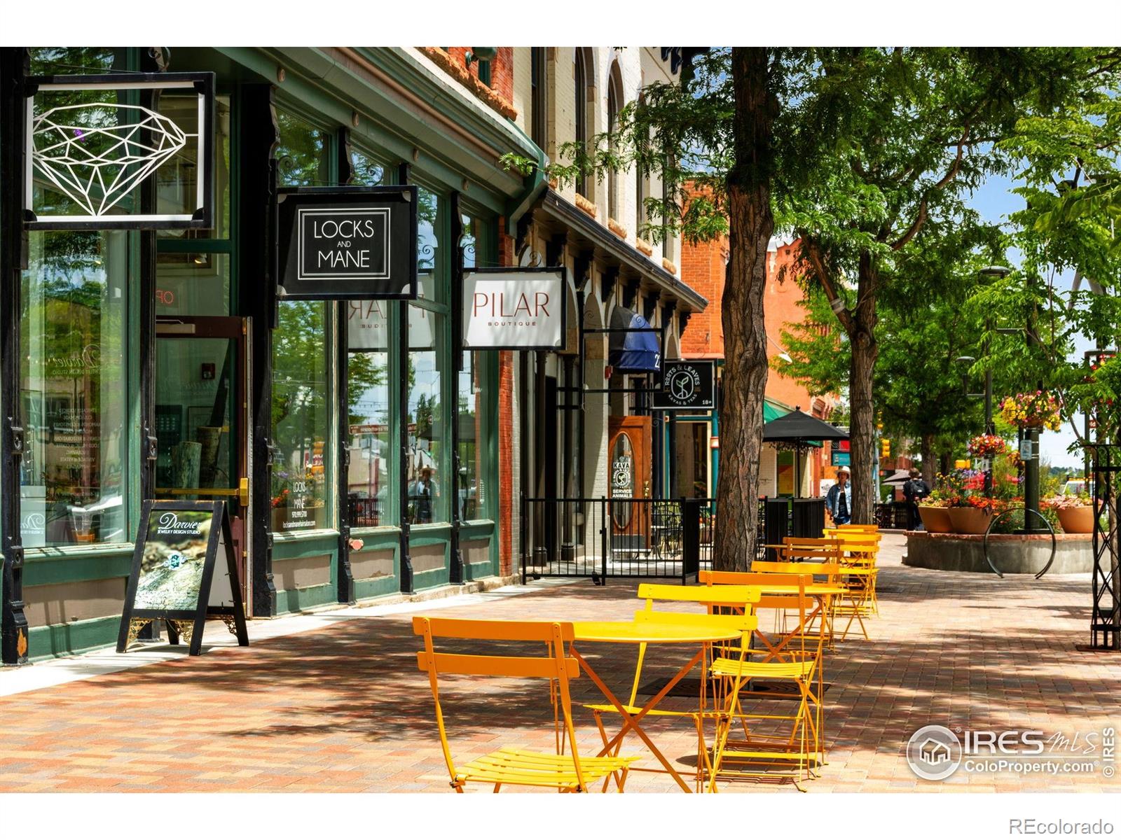 MLS Image #13 for 232 e oak street,fort collins, Colorado