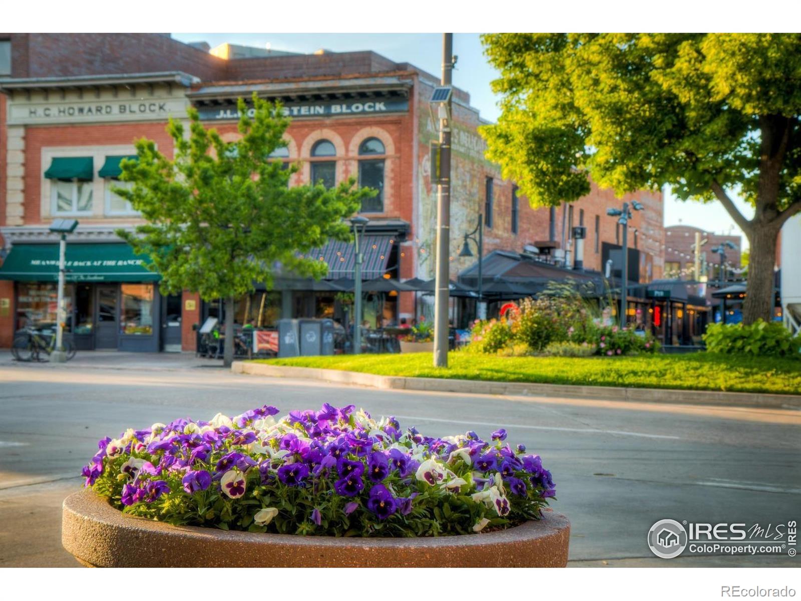 MLS Image #16 for 232 e oak street,fort collins, Colorado