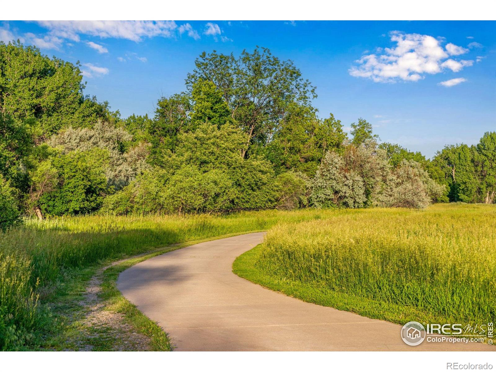 MLS Image #18 for 232 e oak street,fort collins, Colorado