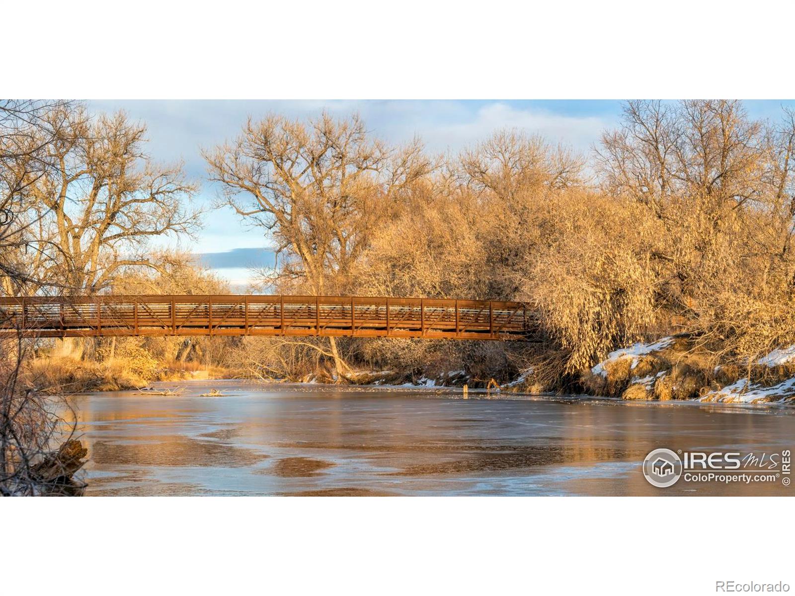 MLS Image #21 for 232 e oak street,fort collins, Colorado