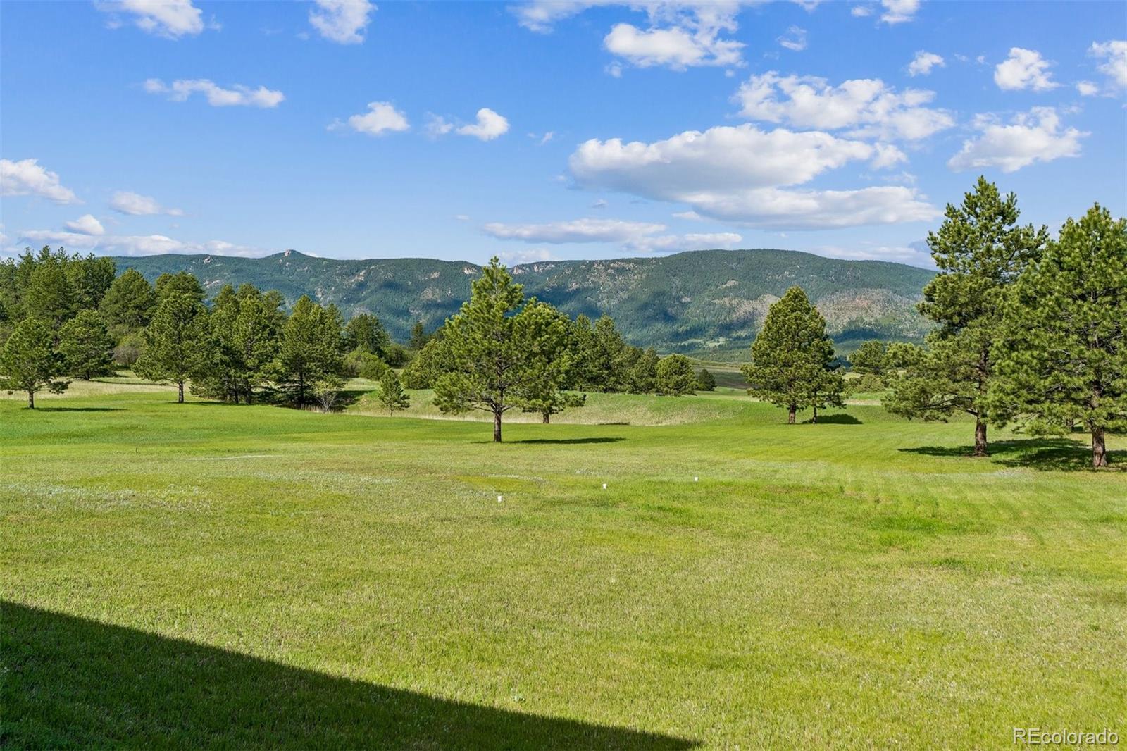 MLS Image #5 for 8061  sugarloaf road,larkspur, Colorado