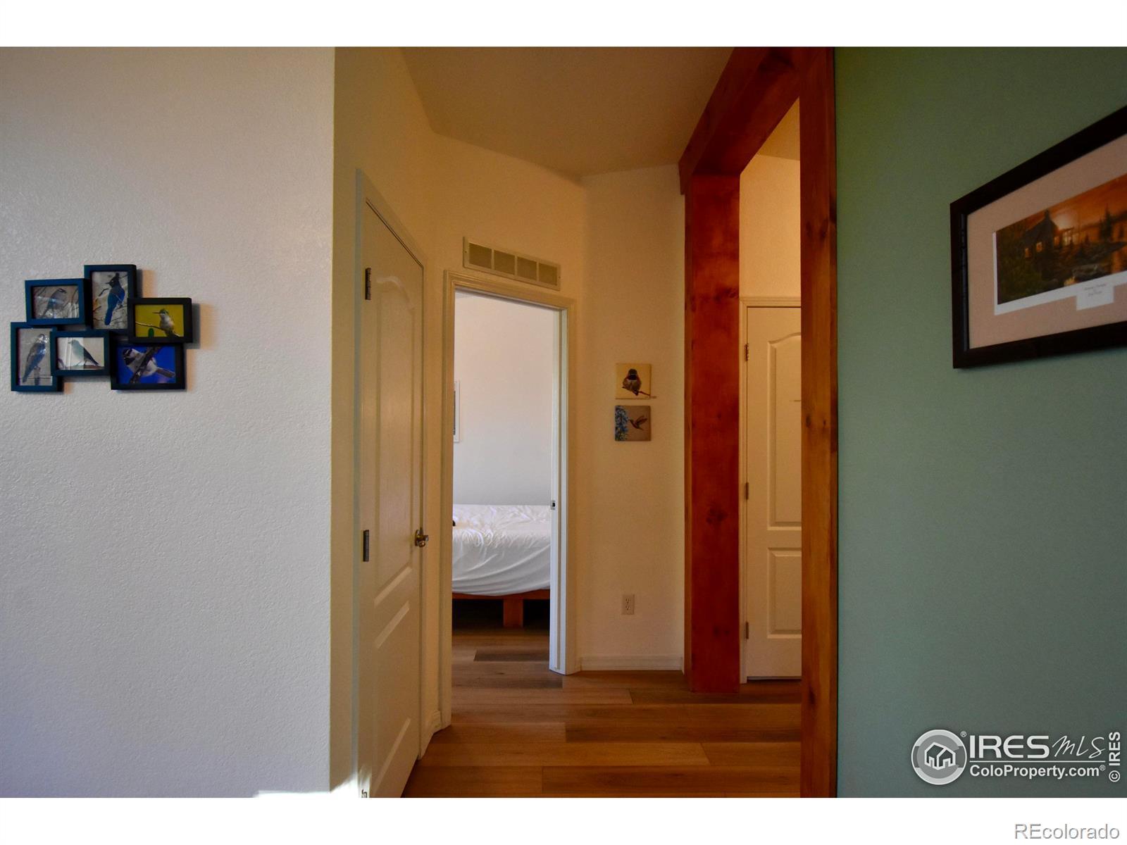MLS Image #12 for 972 n quarter horse road,jefferson, Colorado