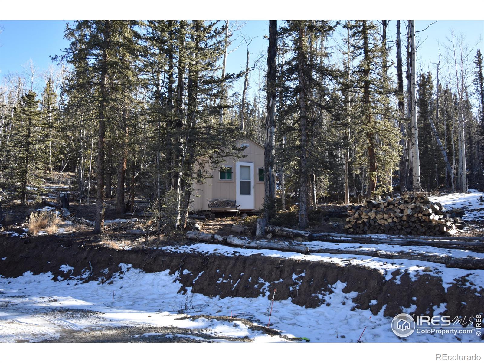 MLS Image #28 for 972 n quarter horse road,jefferson, Colorado