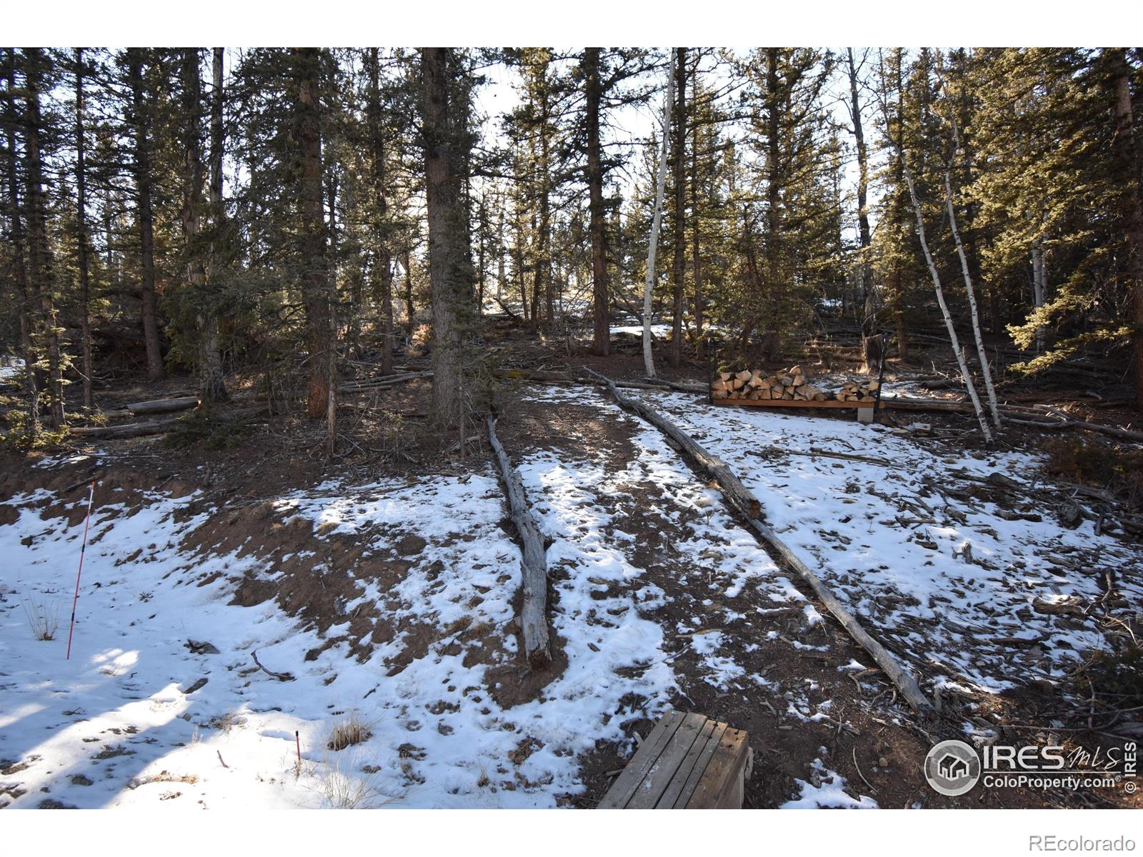 MLS Image #29 for 972 n quarter horse road,jefferson, Colorado