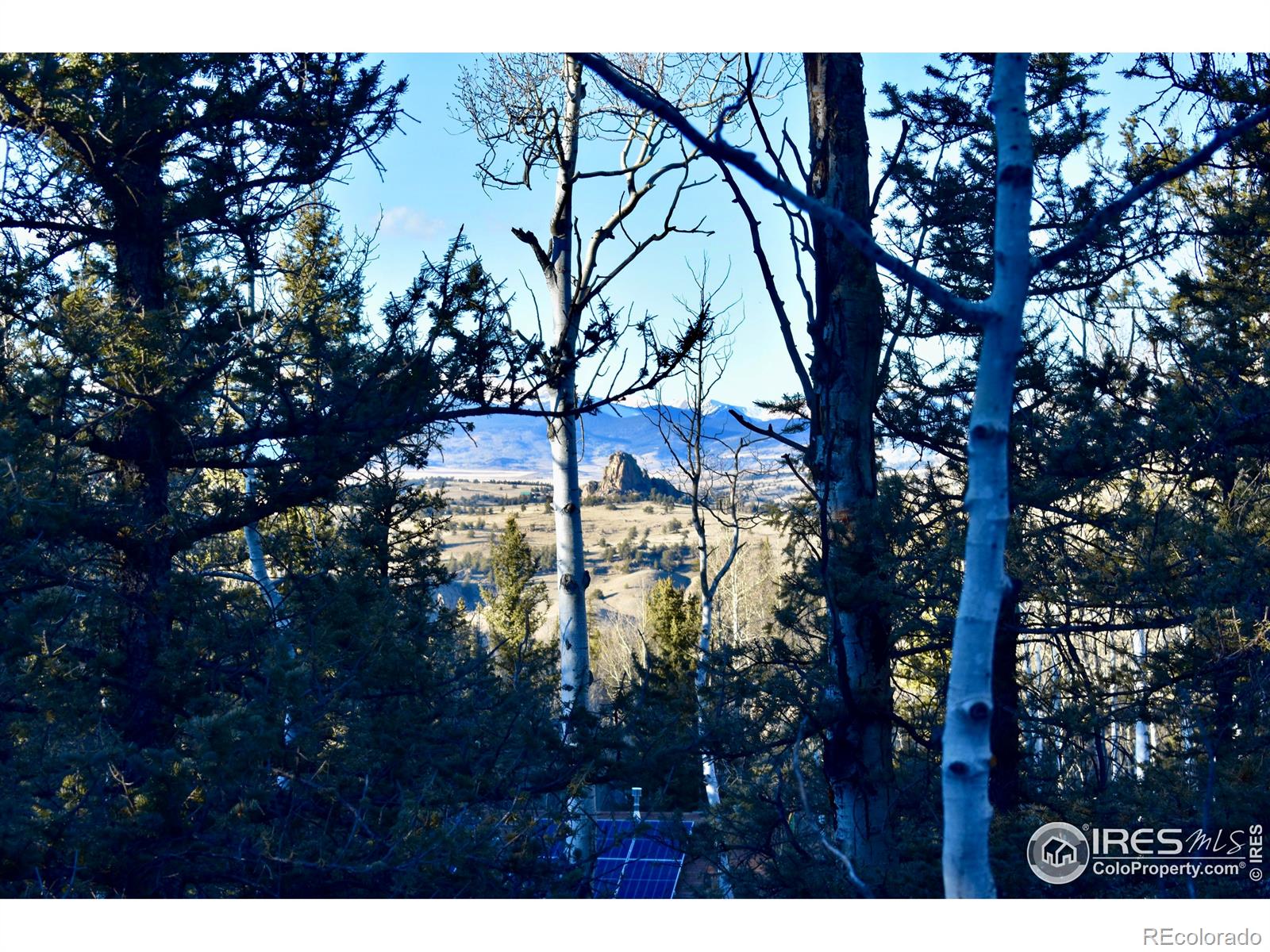 MLS Image #3 for 972 n quarter horse road,jefferson, Colorado