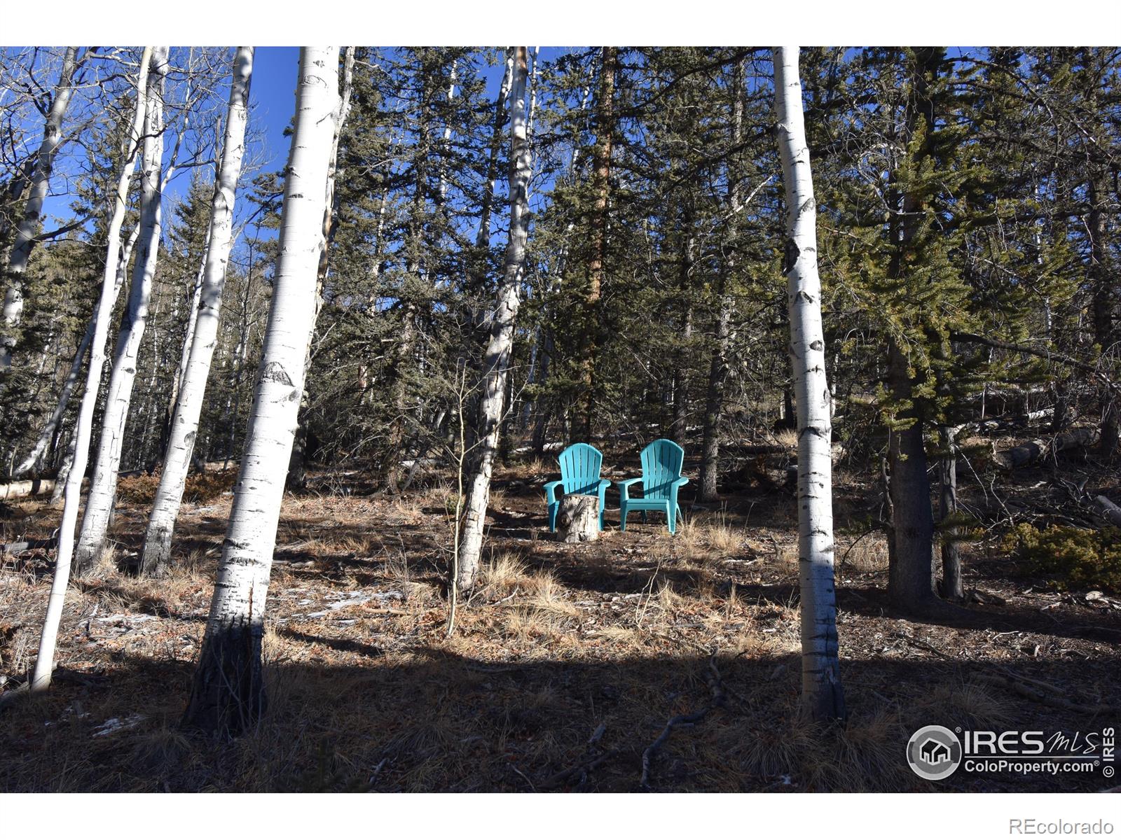 MLS Image #32 for 972 n quarter horse road,jefferson, Colorado