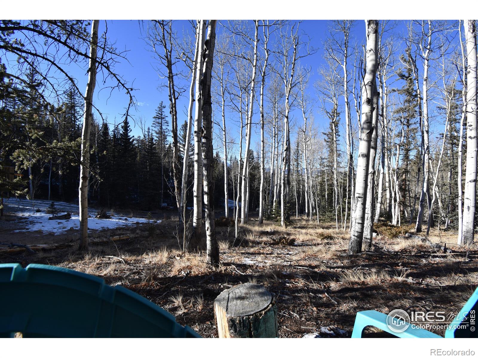 MLS Image #33 for 972 n quarter horse road,jefferson, Colorado