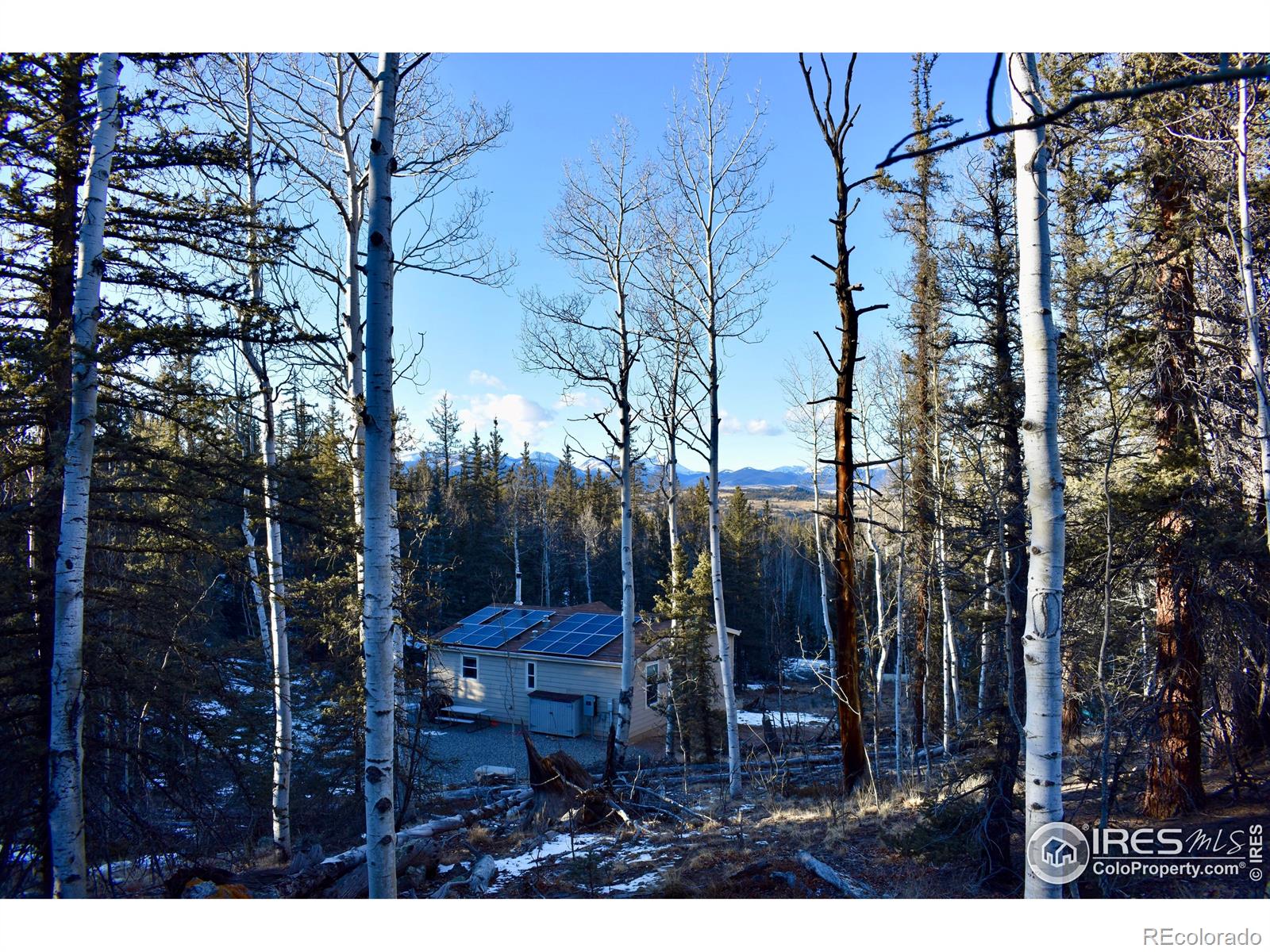 MLS Image #34 for 972 n quarter horse road,jefferson, Colorado