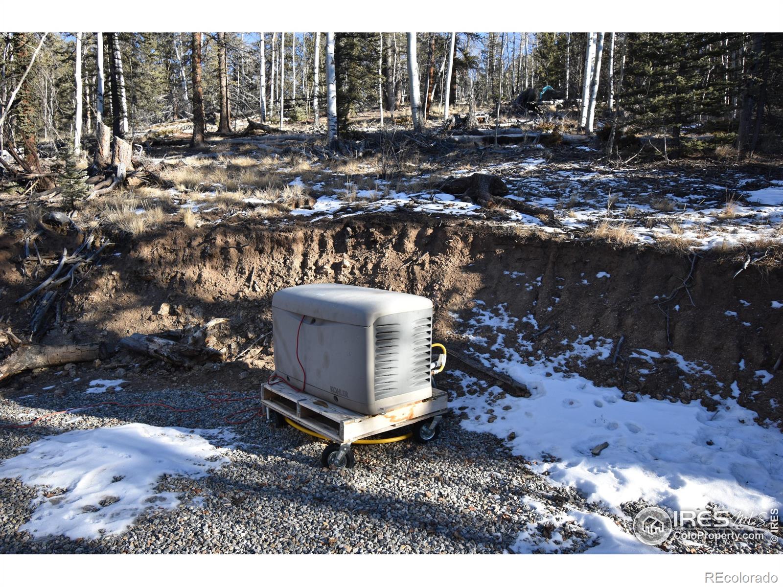MLS Image #40 for 972 n quarter horse road,jefferson, Colorado