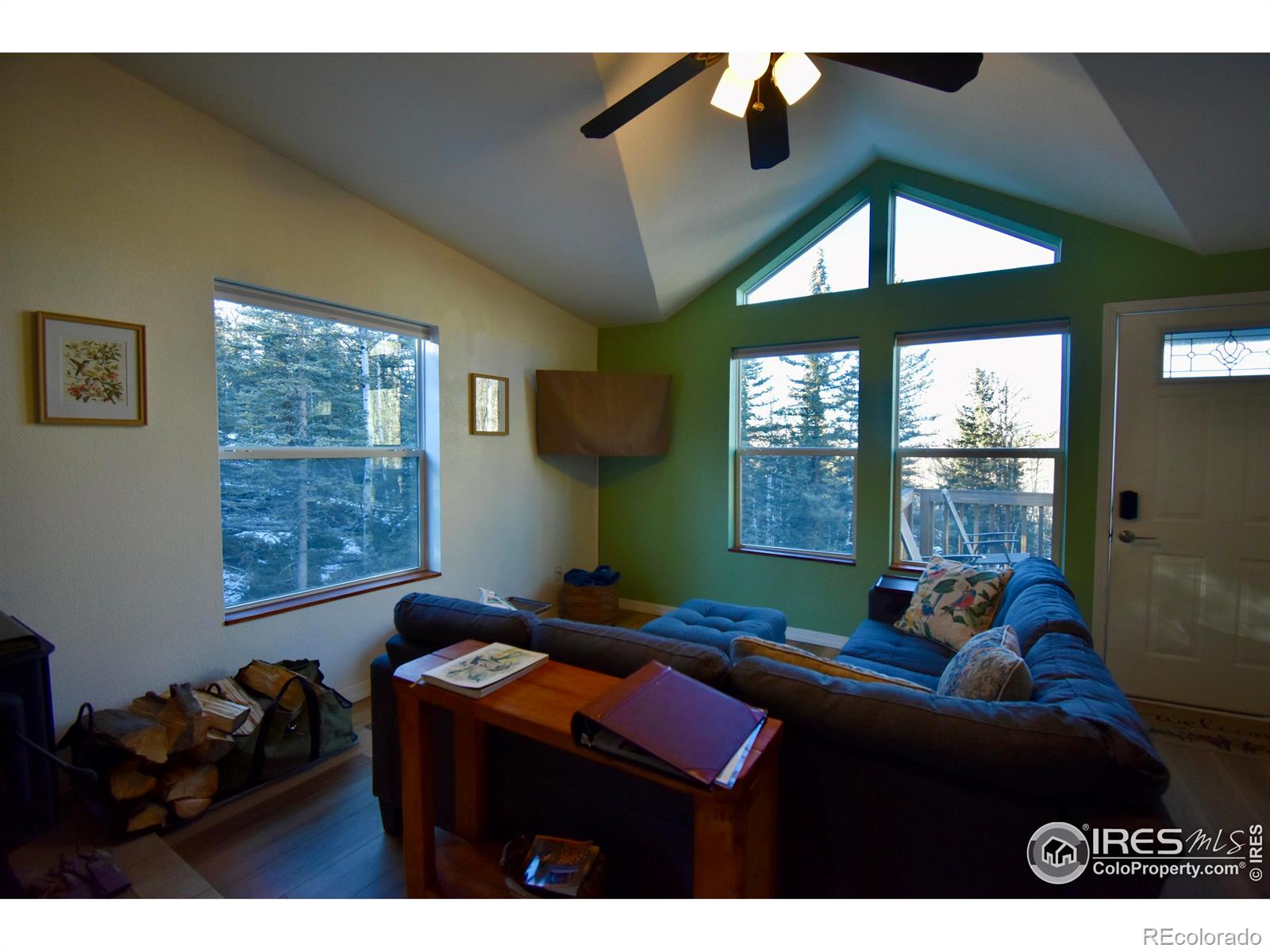 MLS Image #5 for 972 n quarter horse road,jefferson, Colorado