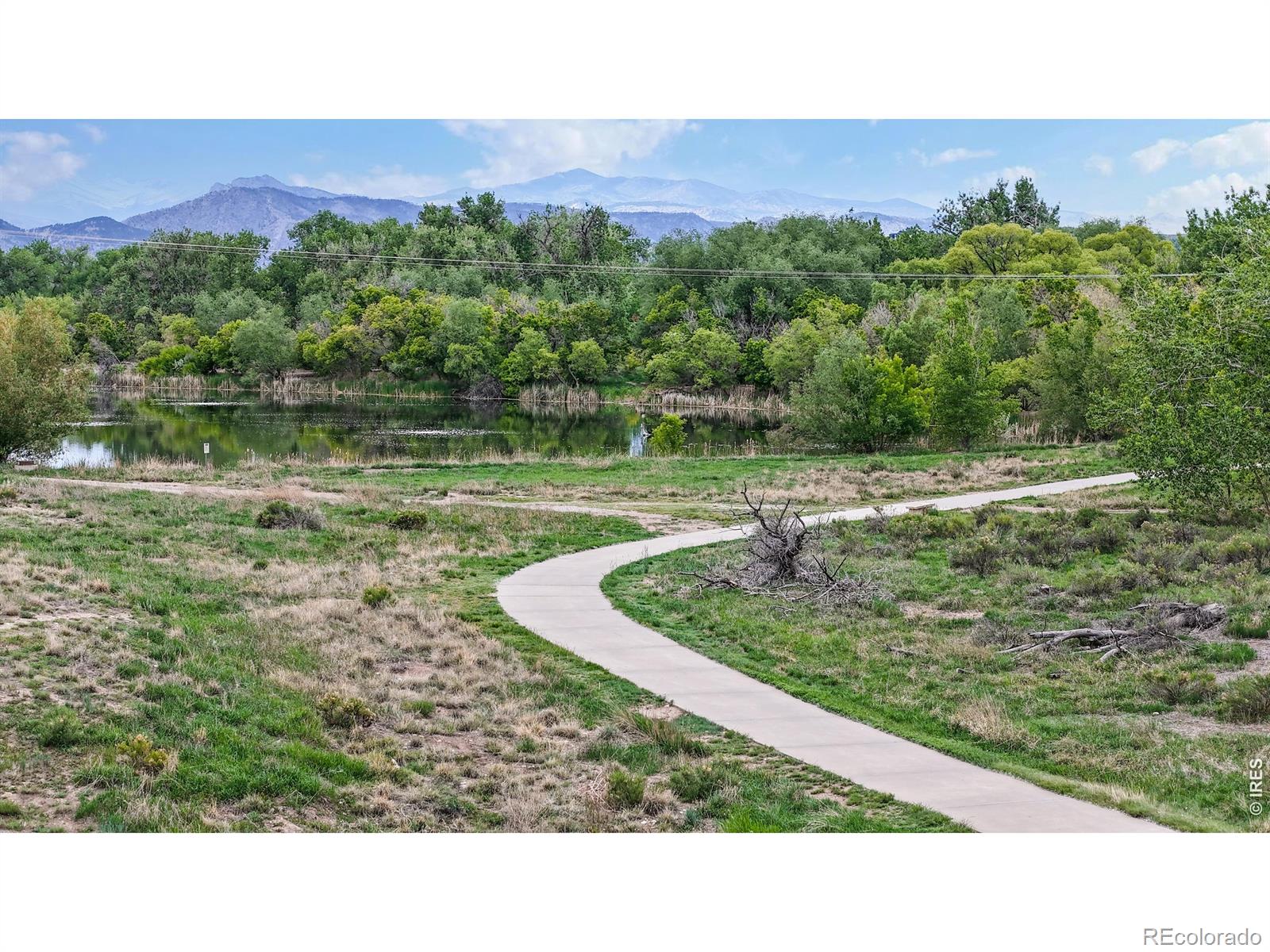 MLS Image #33 for 373  orvis court,loveland, Colorado