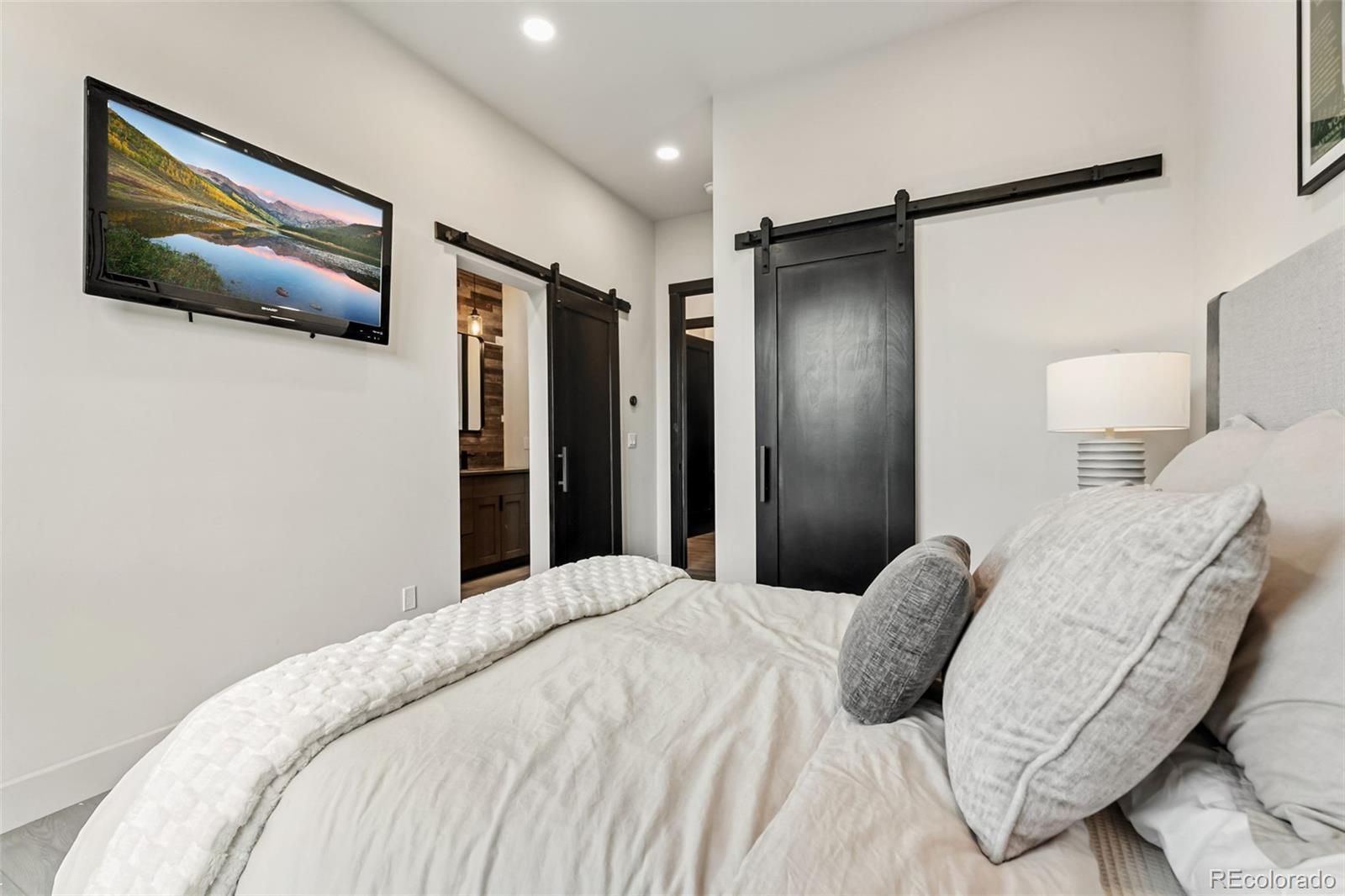 MLS Image #29 for 2520  boreas pass road,breckenridge, Colorado