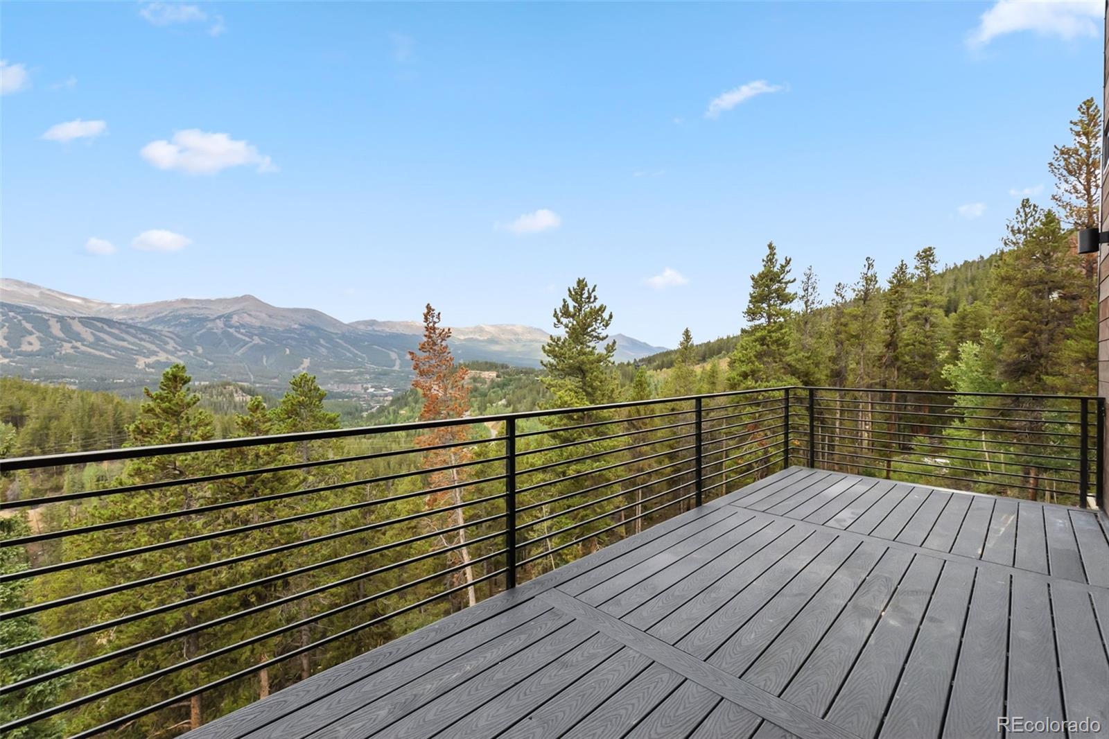 MLS Image #45 for 2520  boreas pass road,breckenridge, Colorado