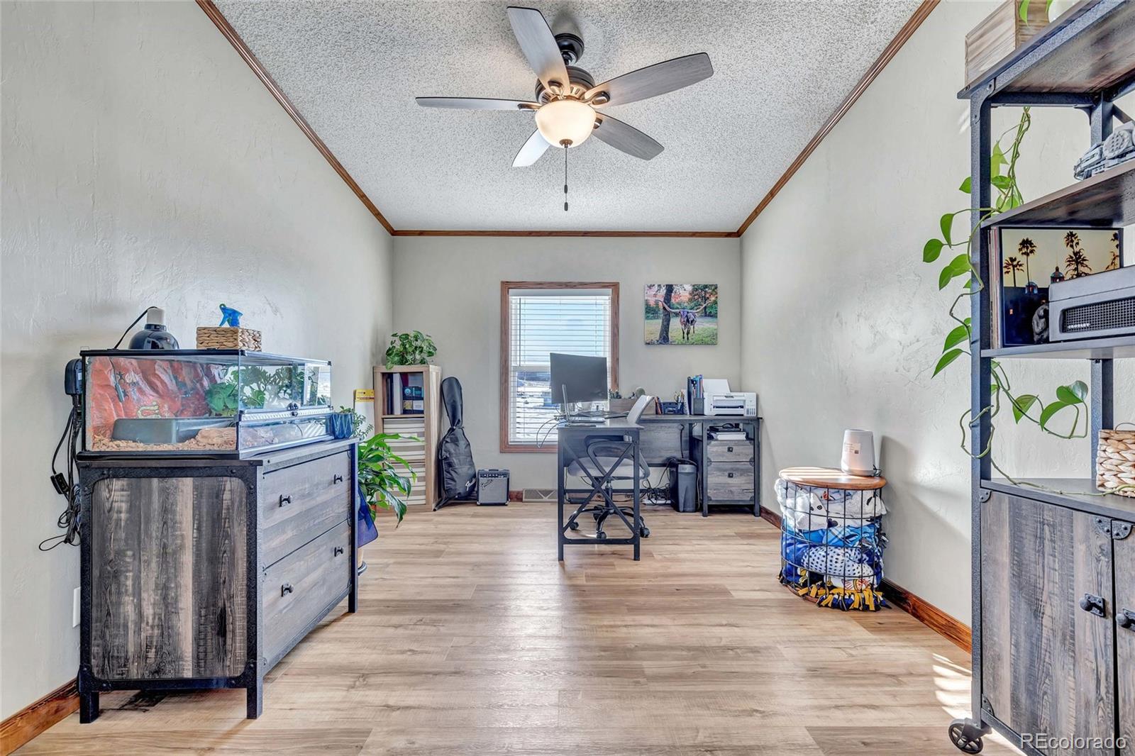 MLS Image #16 for 83  ridge point circle,divide, Colorado