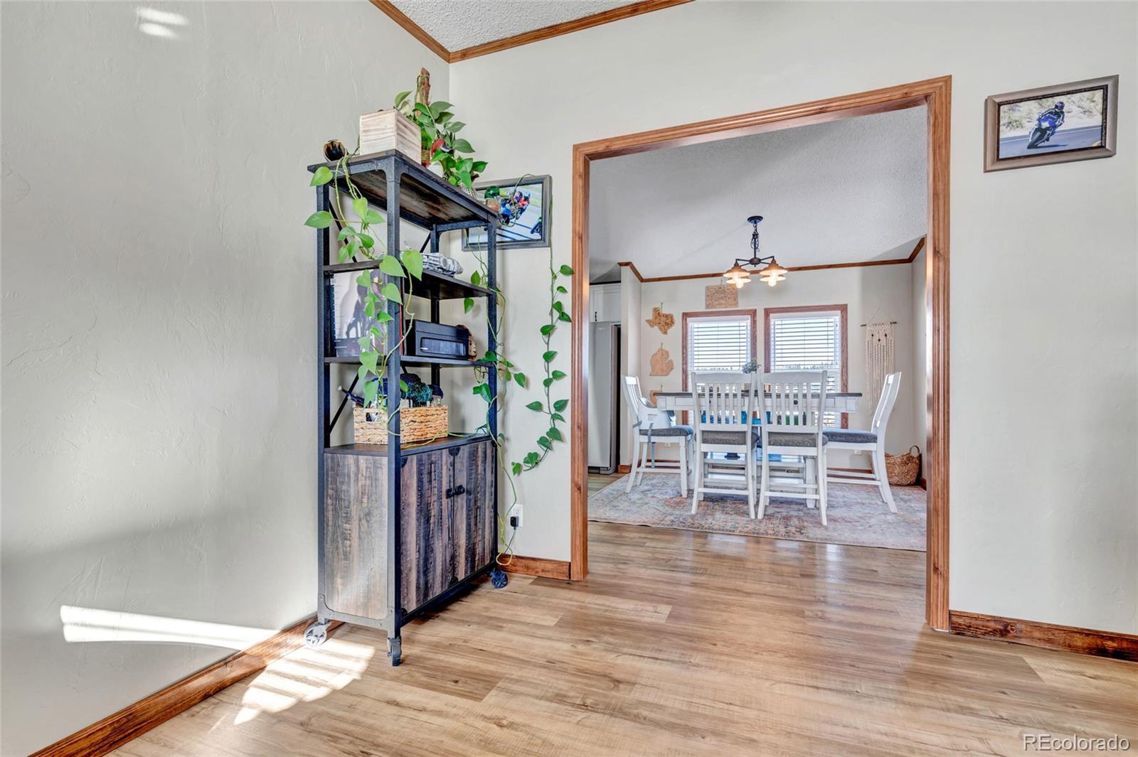 MLS Image #17 for 83  ridge point circle,divide, Colorado