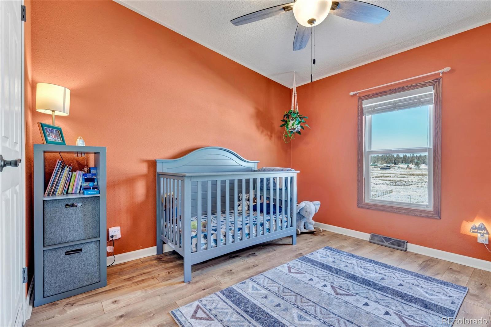 MLS Image #28 for 83  ridge point circle,divide, Colorado