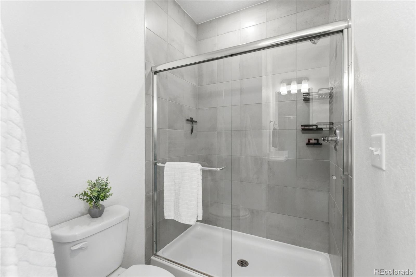MLS Image #15 for 1065  sugarloaf lane,erie, Colorado