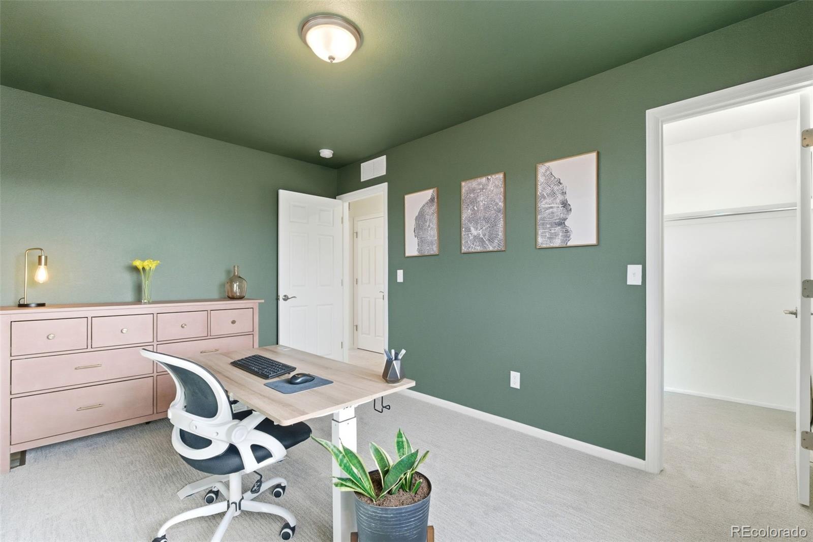 MLS Image #19 for 1065  sugarloaf lane,erie, Colorado