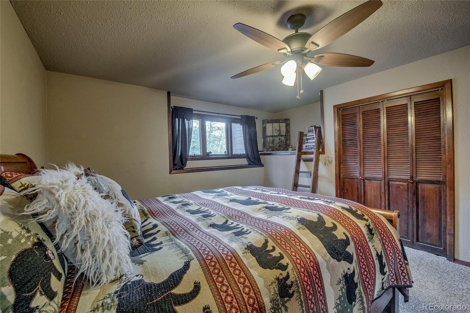 MLS Image #19 for 637  rock road,bailey, Colorado