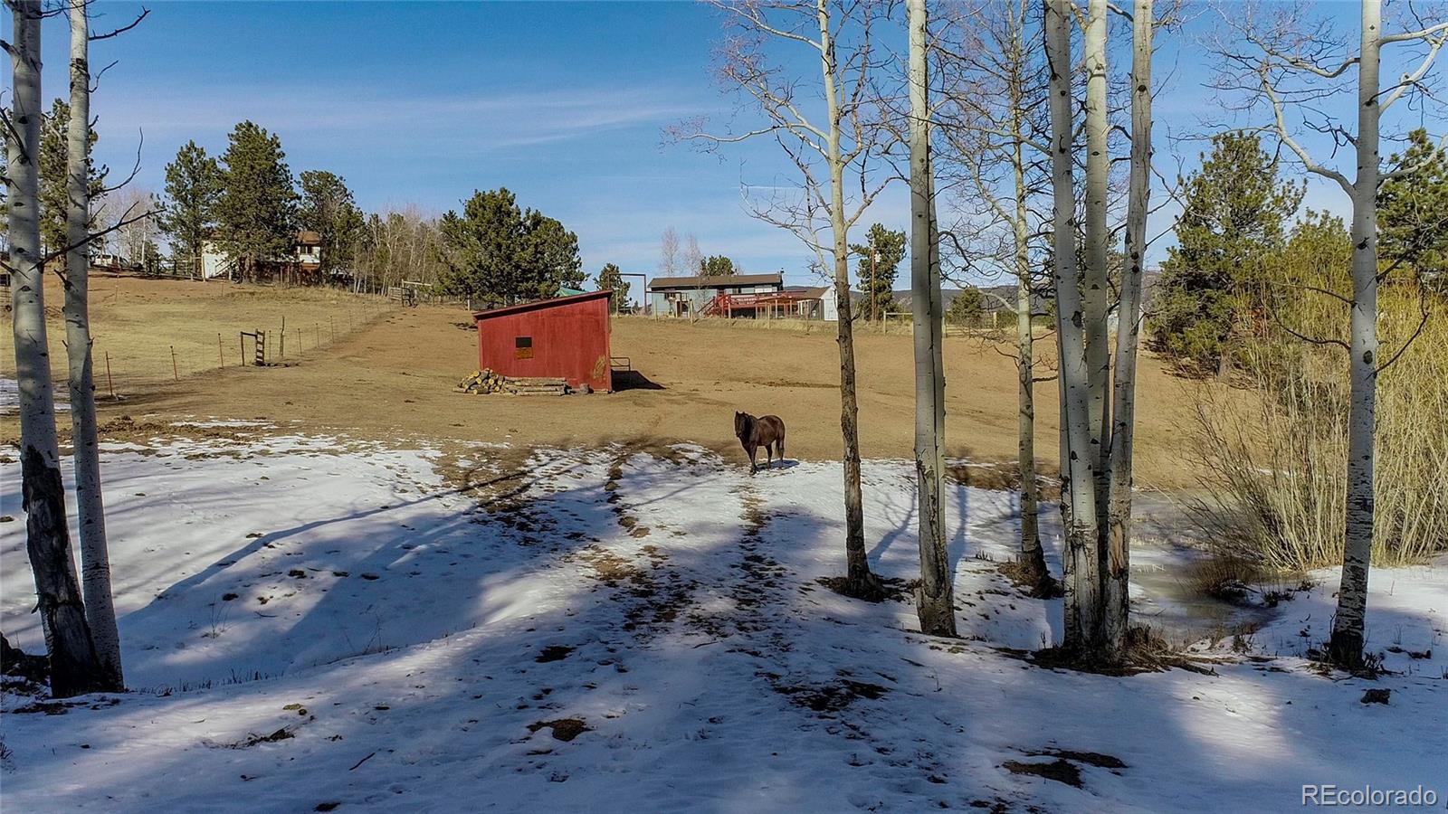 MLS Image #27 for 637  rock road,bailey, Colorado