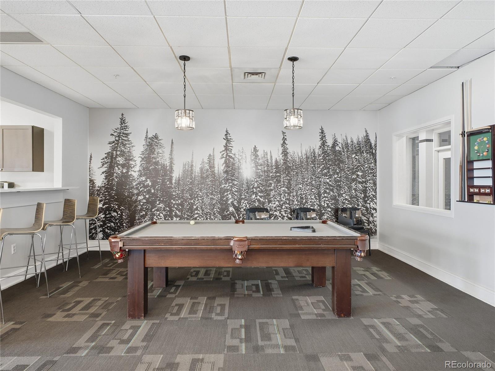 MLS Image #36 for 601 w 11th avenue,denver, Colorado