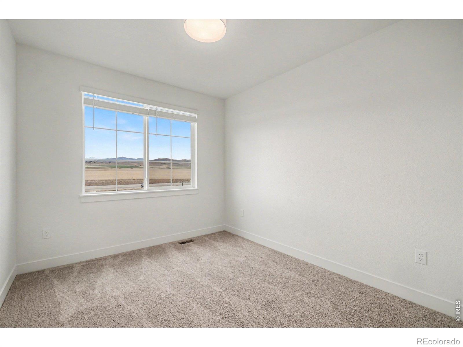 MLS Image #13 for 5174  stonewall street,loveland, Colorado