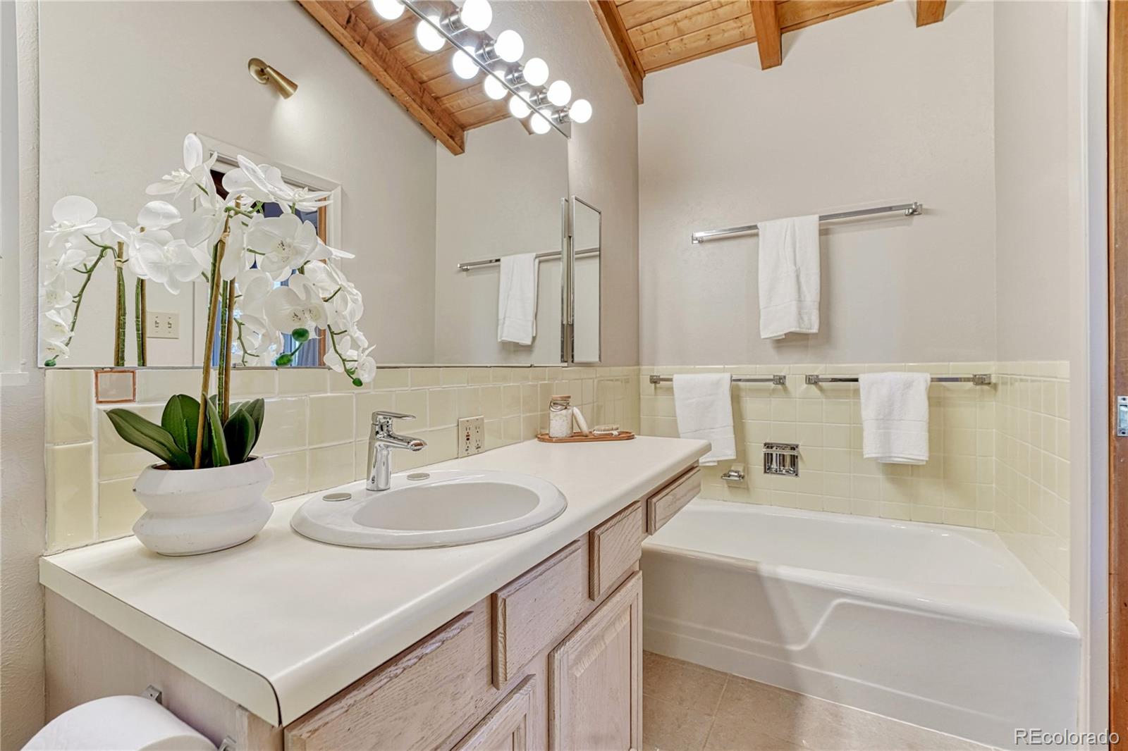 MLS Image #21 for 271 n ridge road,castle rock, Colorado