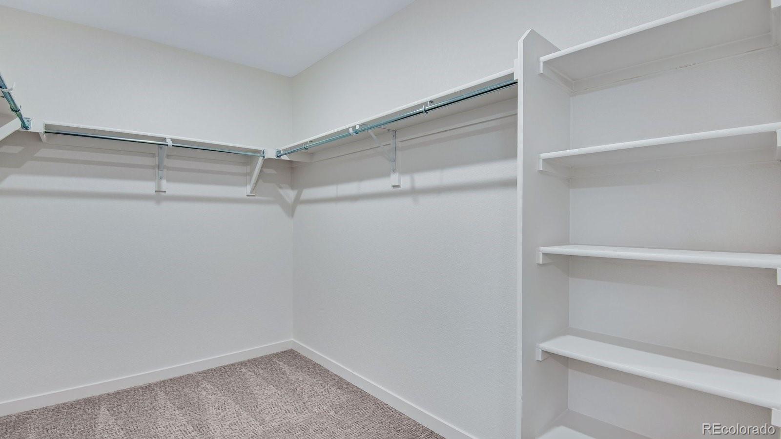 MLS Image #36 for 14014  alpine phlox lane,parker, Colorado