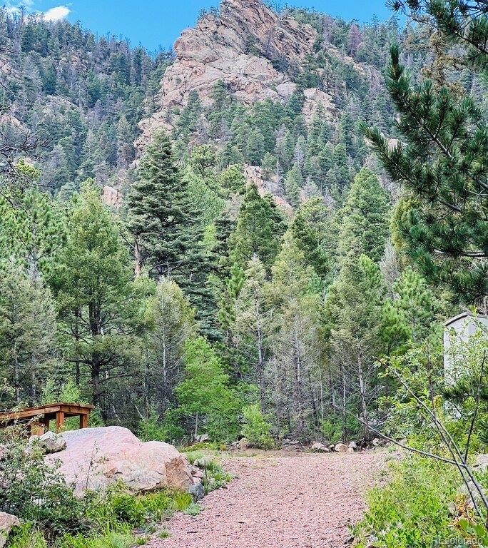 MLS Image #27 for 16679  highway 96 ,wetmore, Colorado