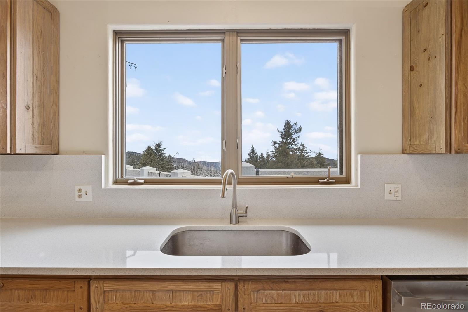 MLS Image #11 for 12291 s critchell lane,littleton, Colorado