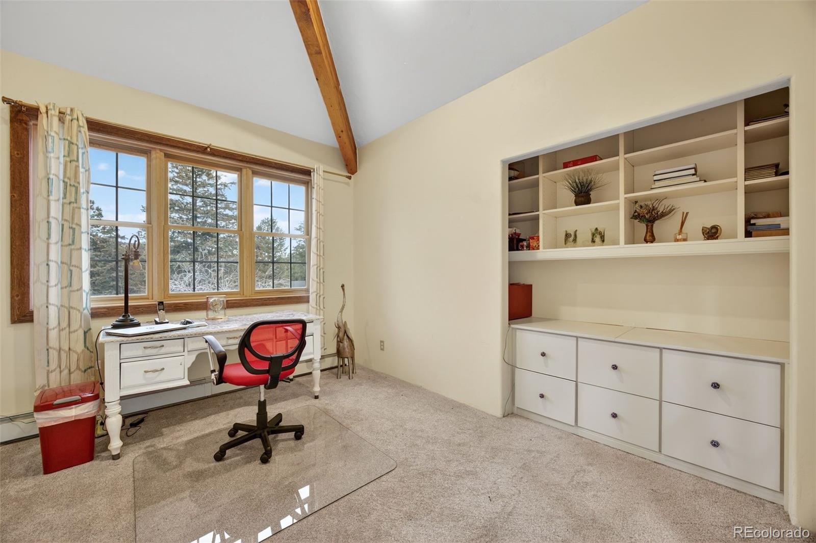 MLS Image #25 for 12291 s critchell lane,littleton, Colorado