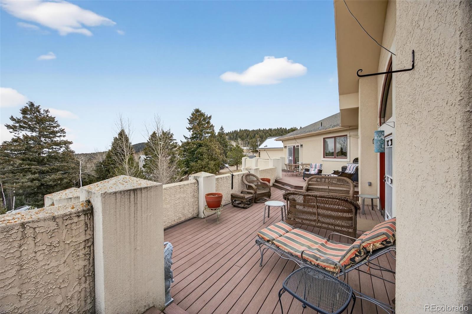 MLS Image #39 for 12291 s critchell lane,littleton, Colorado