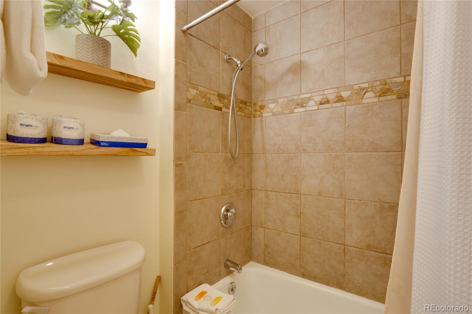 MLS Image #23 for 180  tennis club road,keystone, Colorado