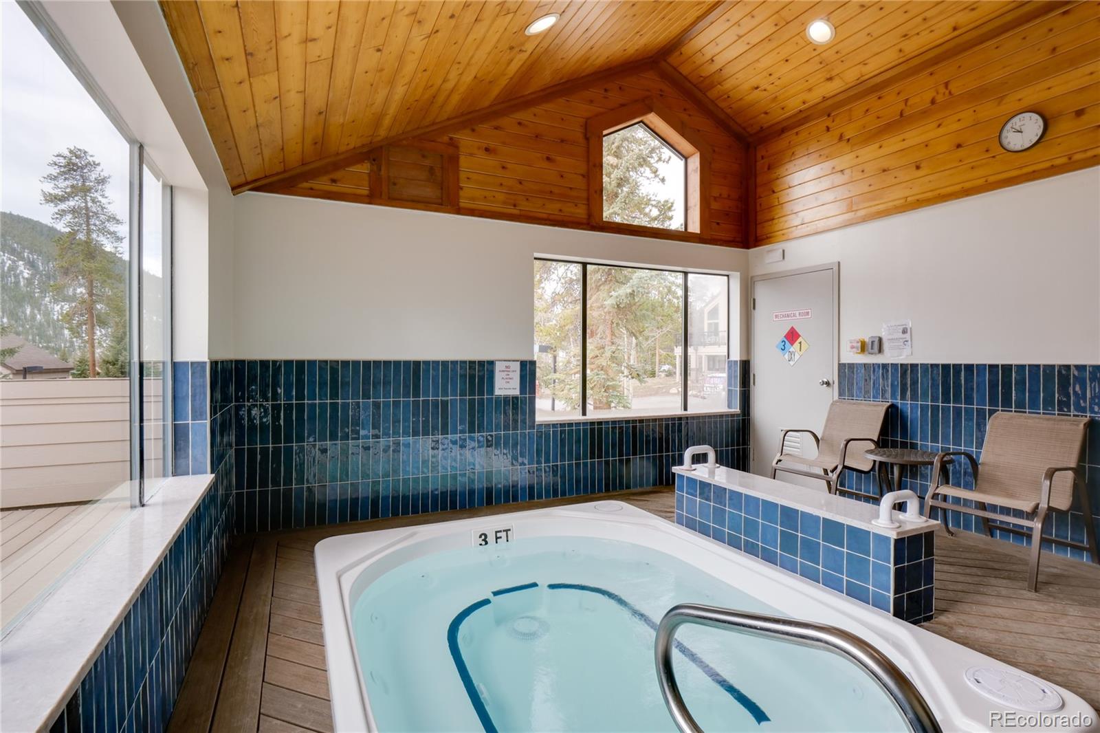 MLS Image #31 for 180  tennis club road,keystone, Colorado