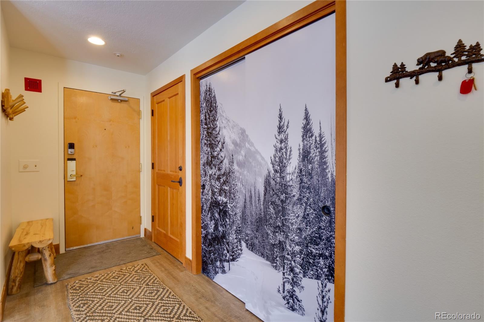 MLS Image #9 for 180  tennis club road,keystone, Colorado