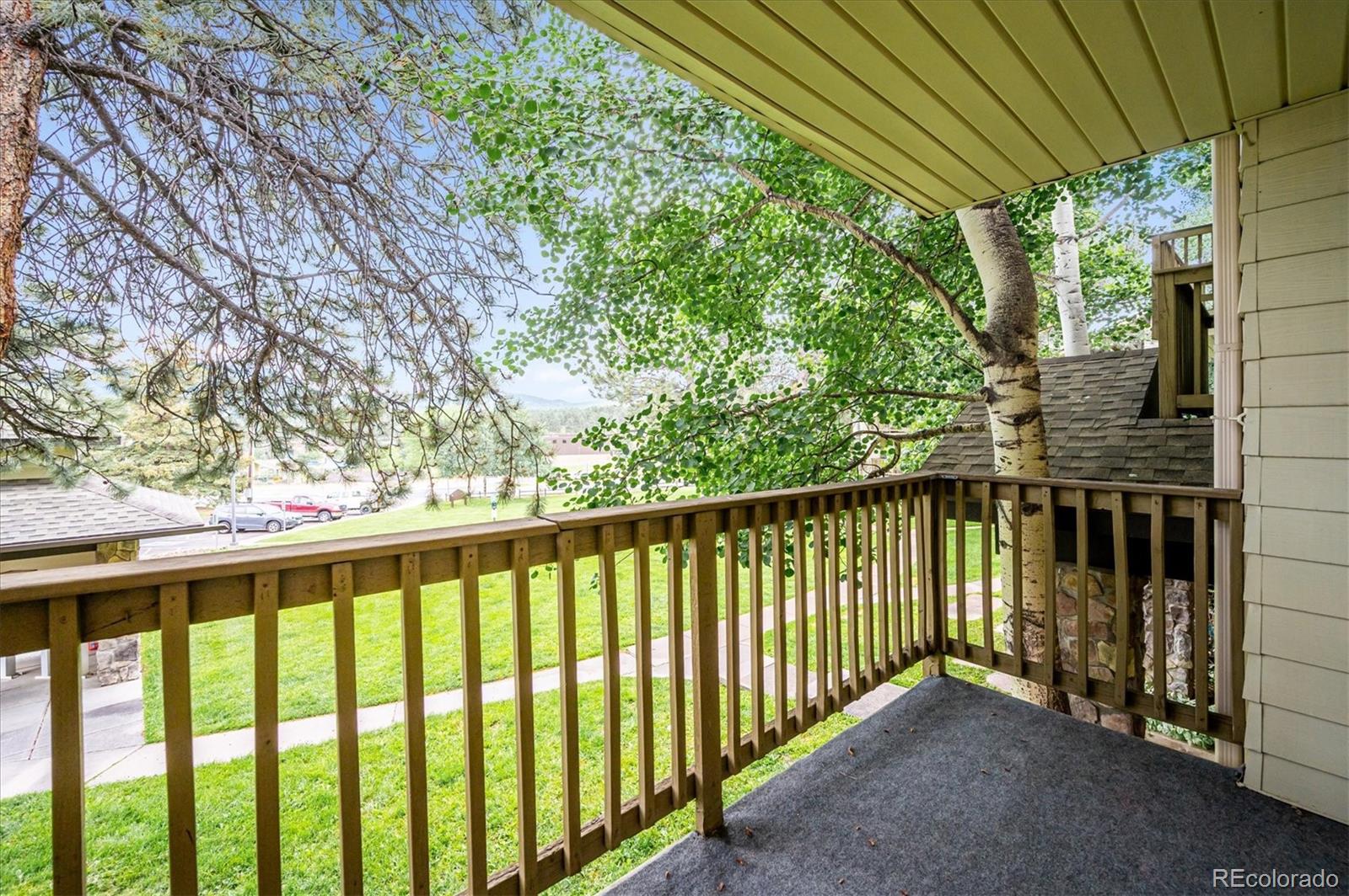 MLS Image #9 for 29656  buffalo park road,evergreen, Colorado