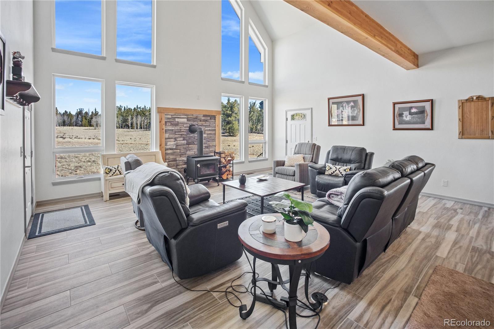 MLS Image #1 for 247  foxtail court,fairplay, Colorado
