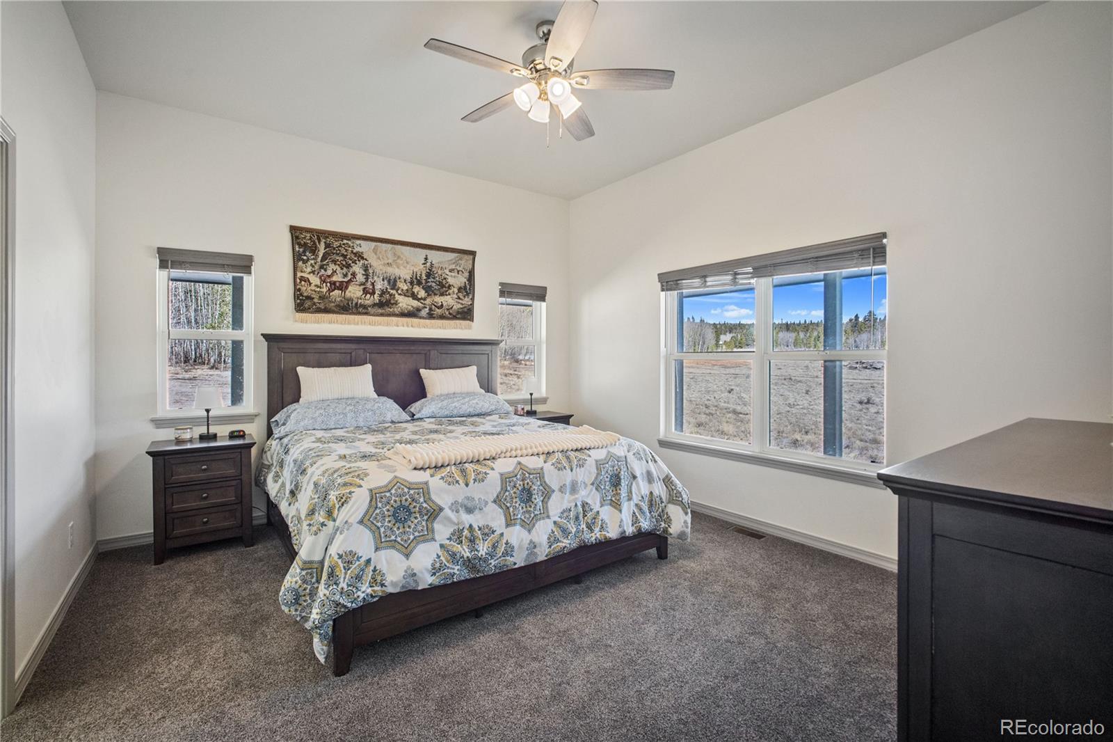 MLS Image #10 for 247  foxtail court,fairplay, Colorado