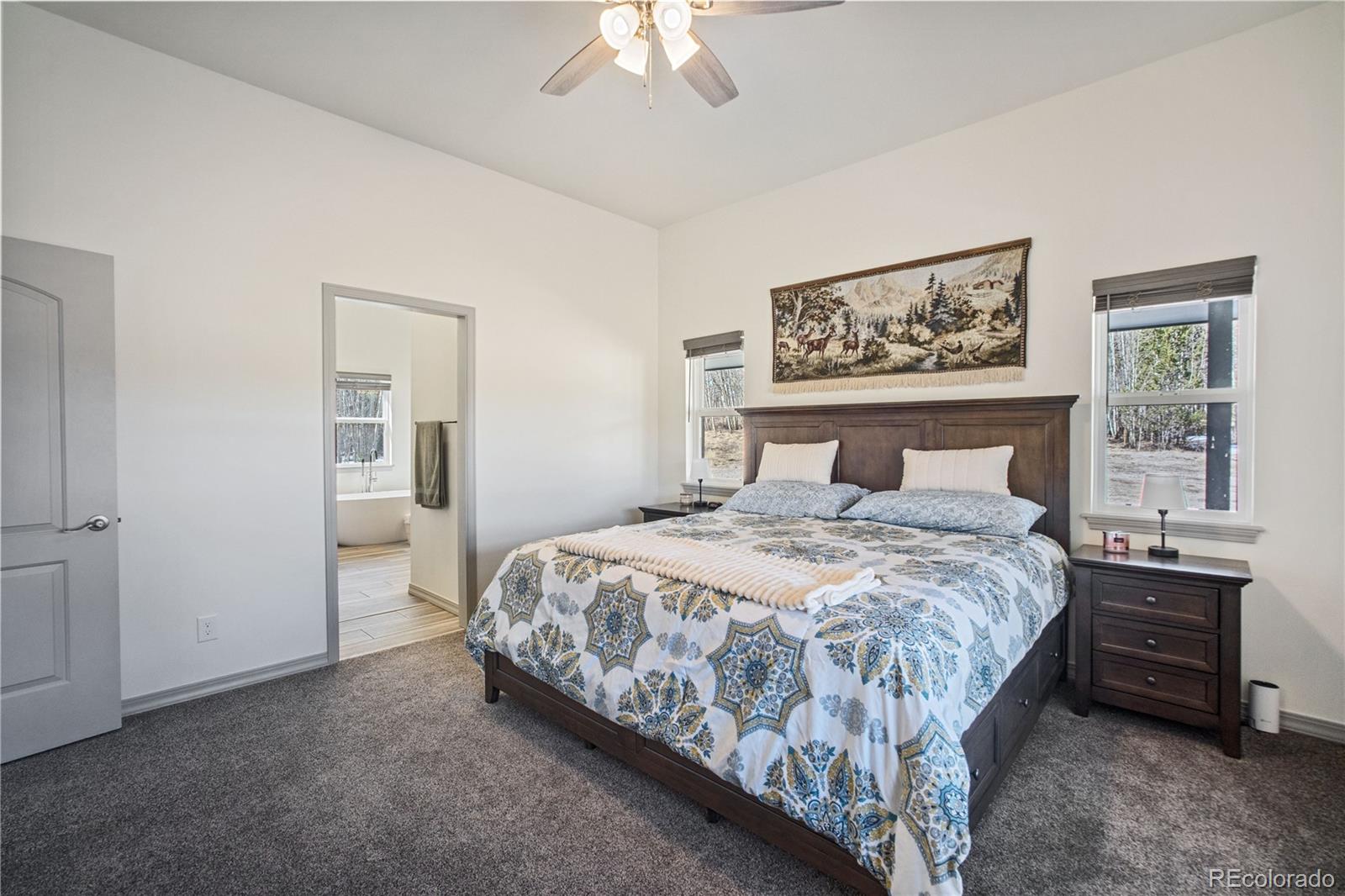 MLS Image #11 for 247  foxtail court,fairplay, Colorado