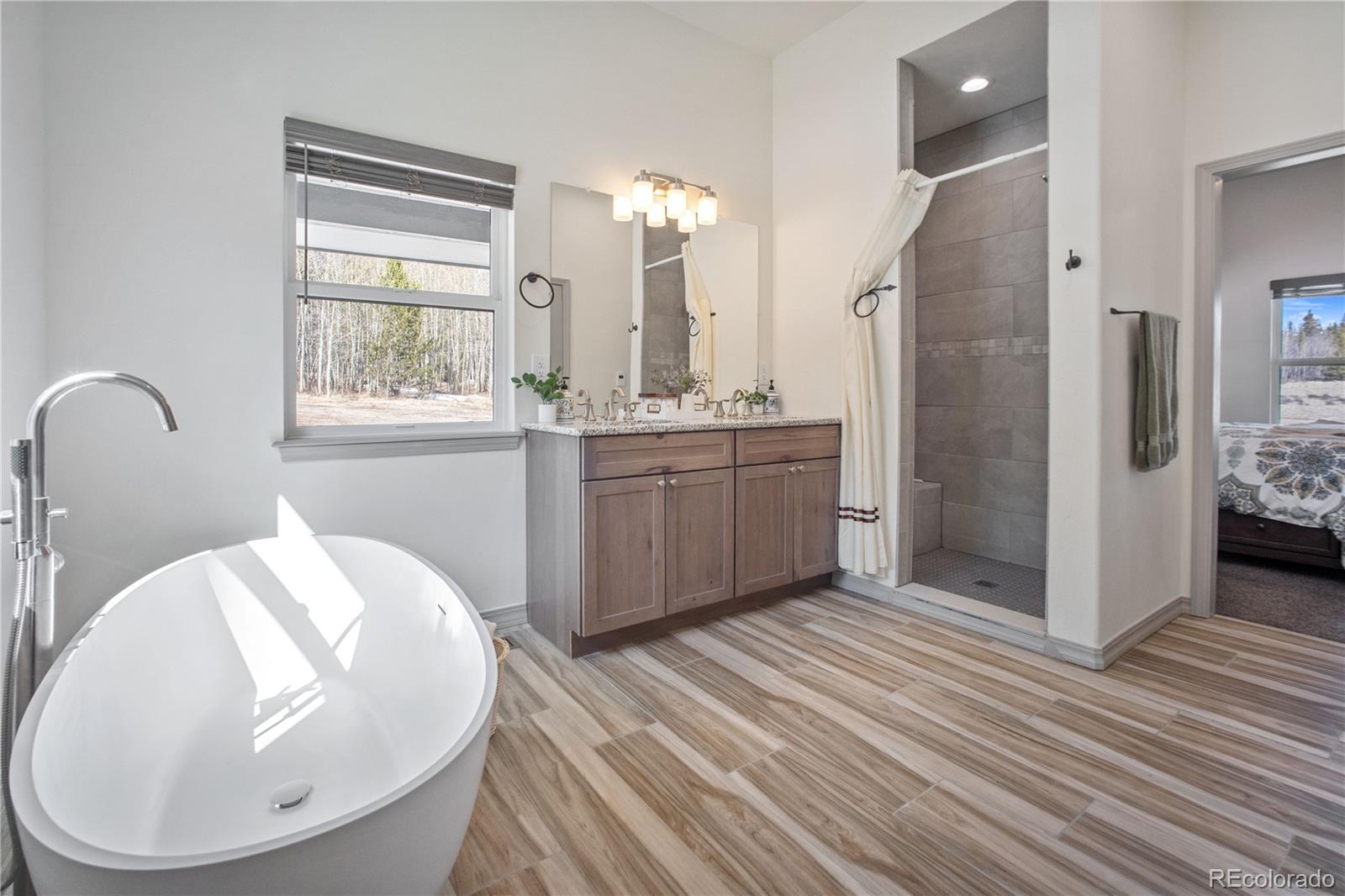 MLS Image #12 for 247  foxtail court,fairplay, Colorado