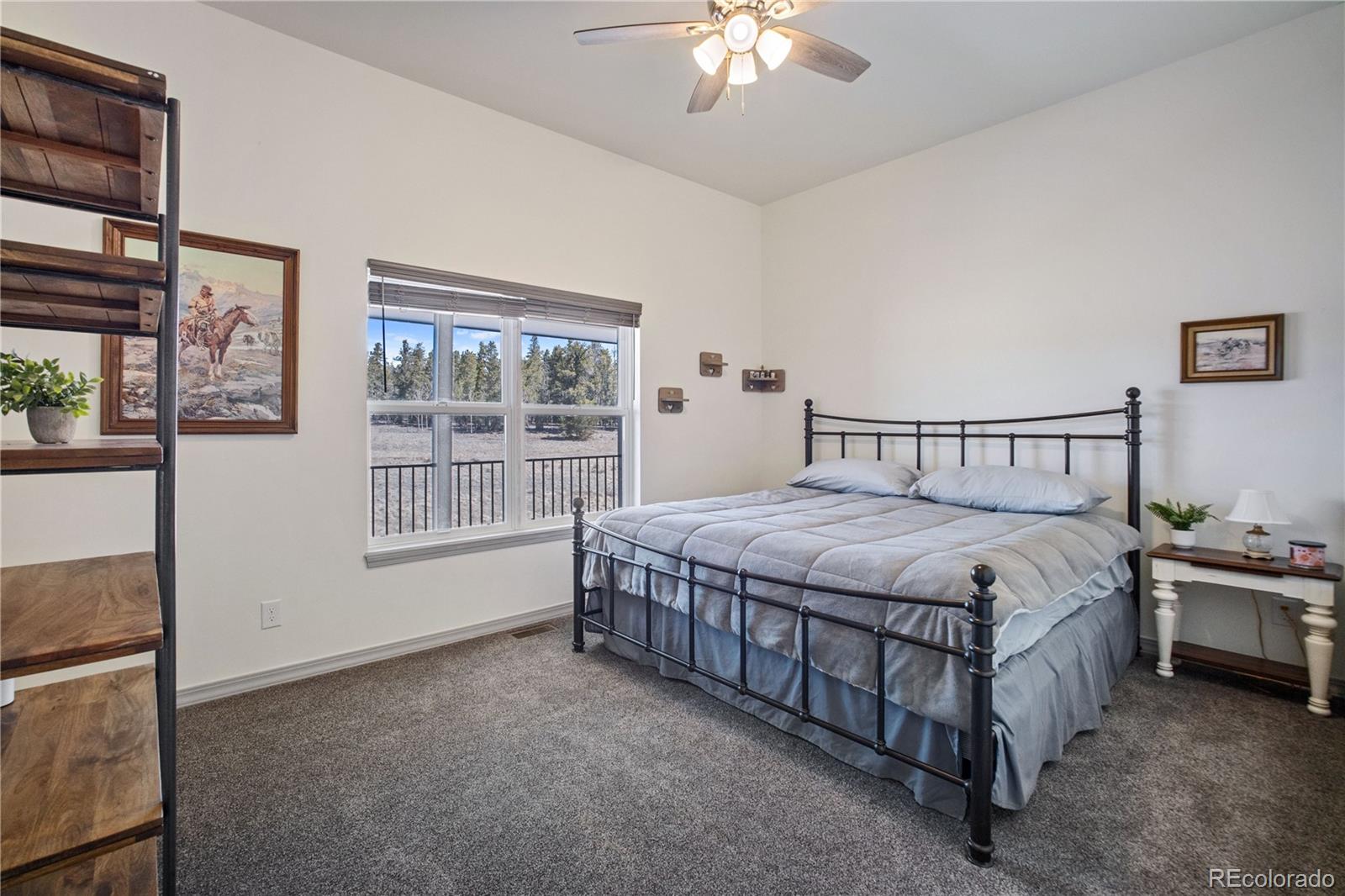 MLS Image #14 for 247  foxtail court,fairplay, Colorado