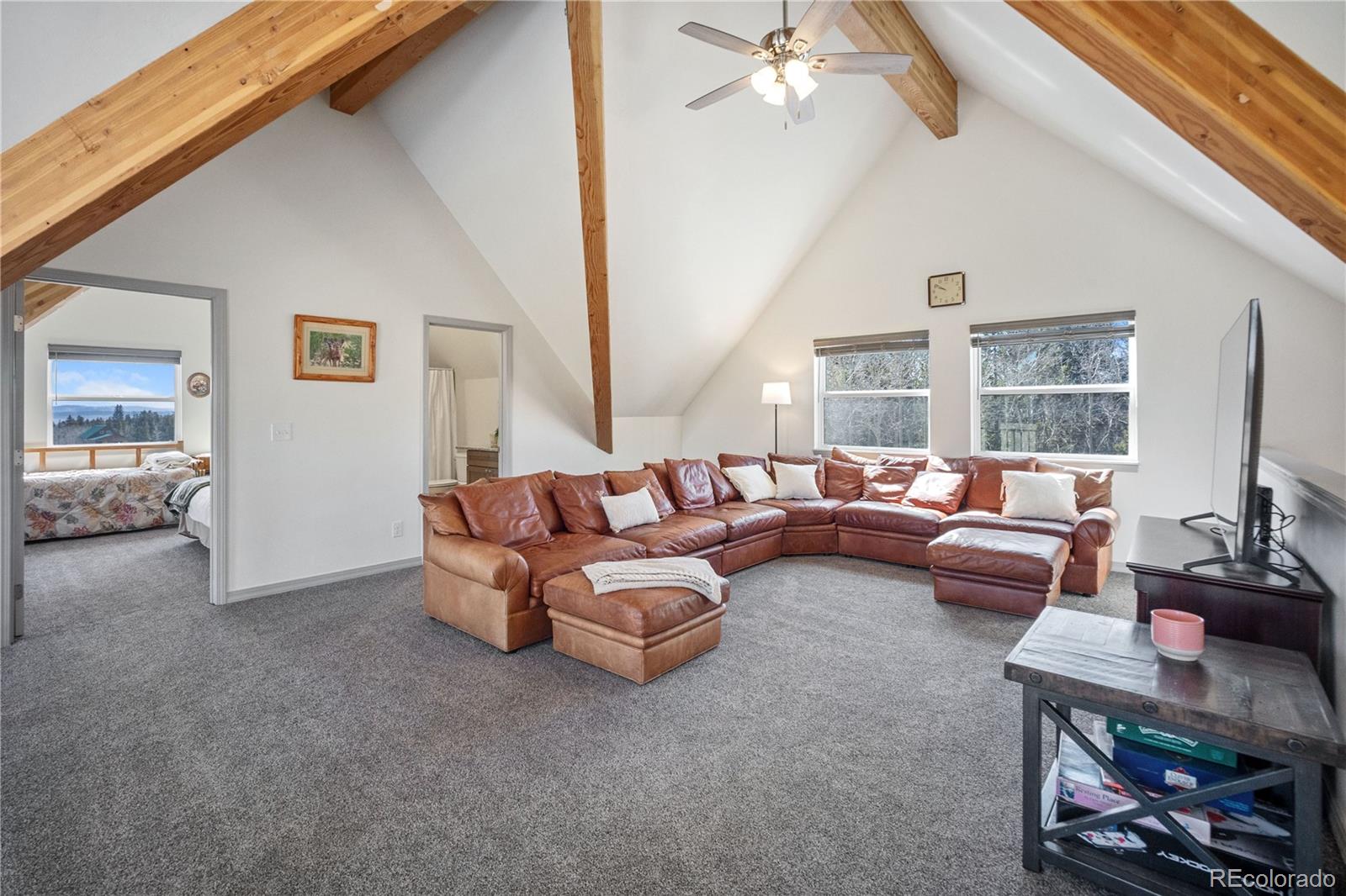 MLS Image #16 for 247  foxtail court,fairplay, Colorado