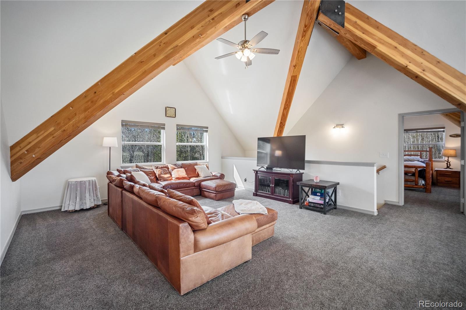 MLS Image #17 for 247  foxtail court,fairplay, Colorado