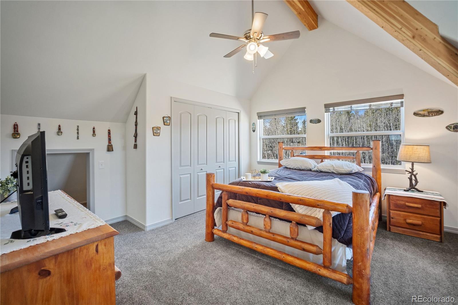 MLS Image #18 for 247  foxtail court,fairplay, Colorado