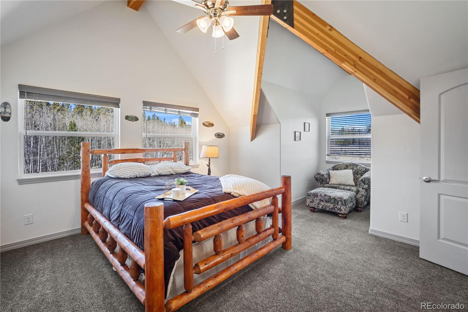 MLS Image #19 for 247  foxtail court,fairplay, Colorado