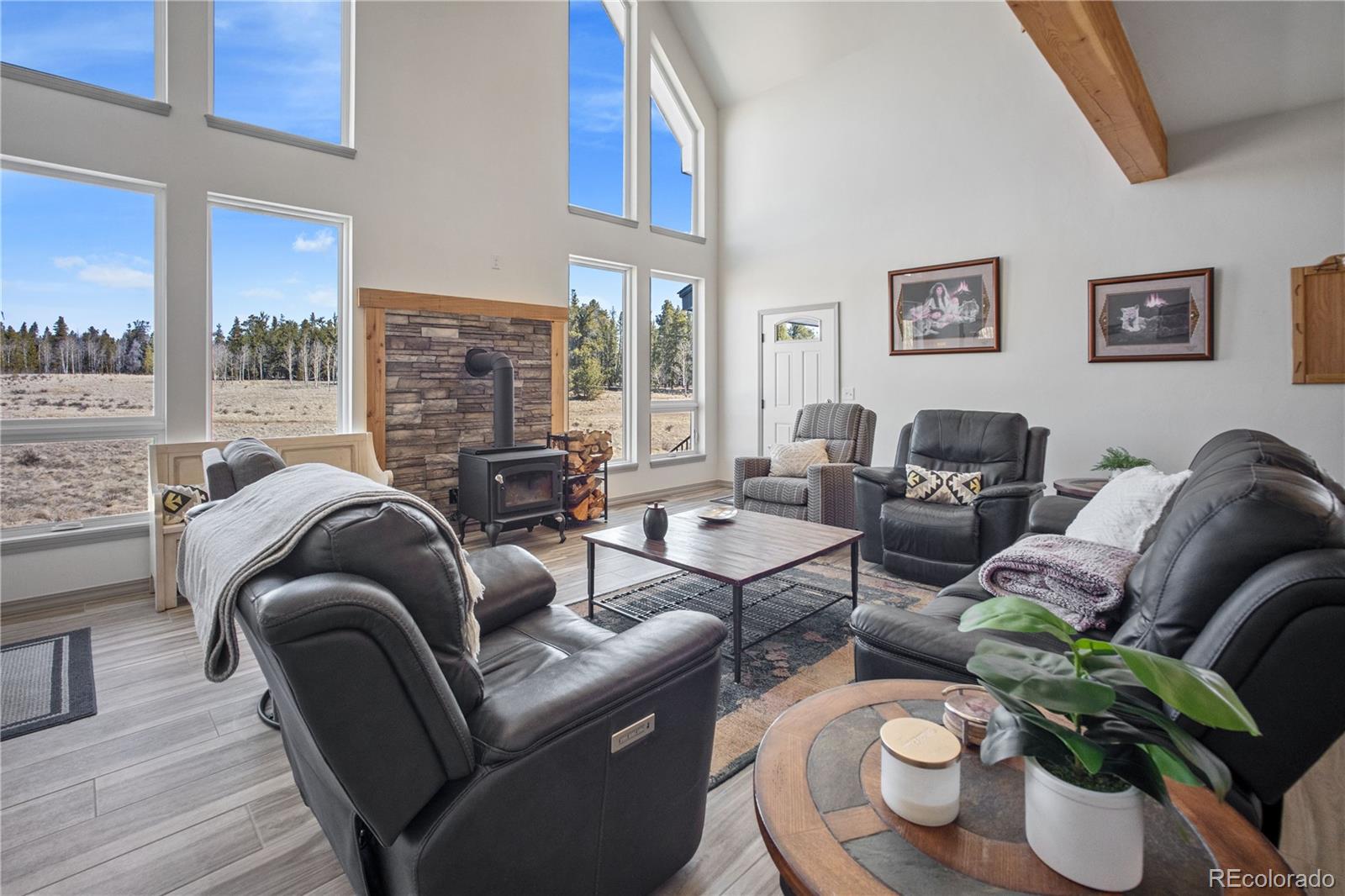 MLS Image #2 for 247  foxtail court,fairplay, Colorado